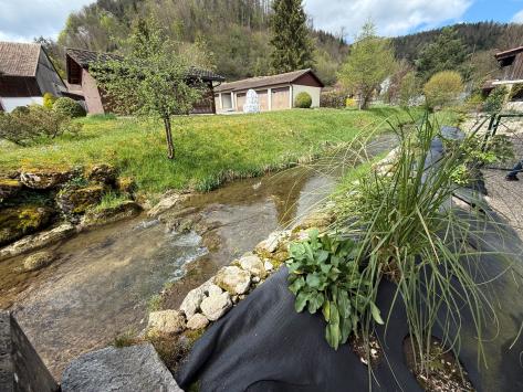 Soyhières, Jura - Appartement meublé 3.5 pièces 70.00 m2 CHF 1'260.- / mois