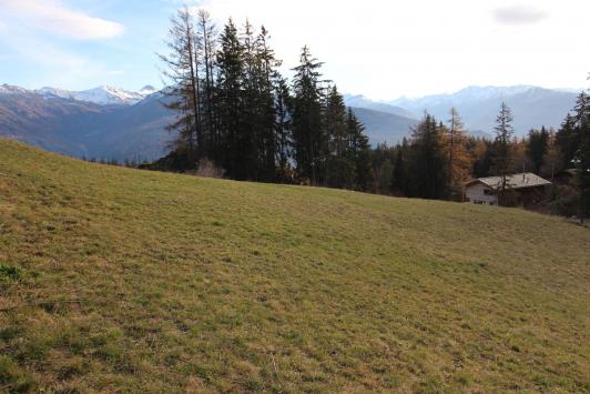 Crans-Montana, Valais - Building land  3618.00 m2 CHF 8'000'000.-