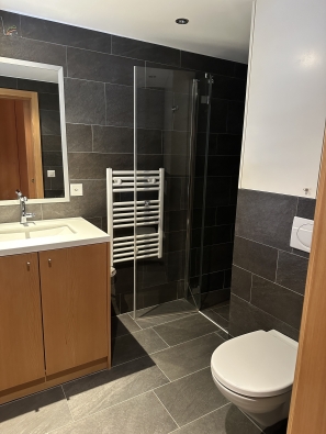 Hérémence, Valais - Chalet 7.5 pièces 250.00 m2 Prix sur demande