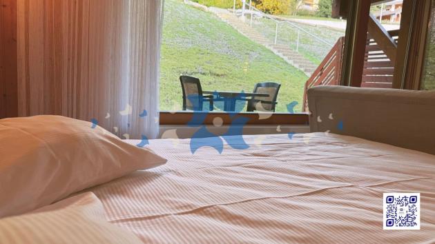 Ovronnaz, Valais - Appartement meublé 1.5 pièces 36.50 m2  dès CHF 198'000.-
