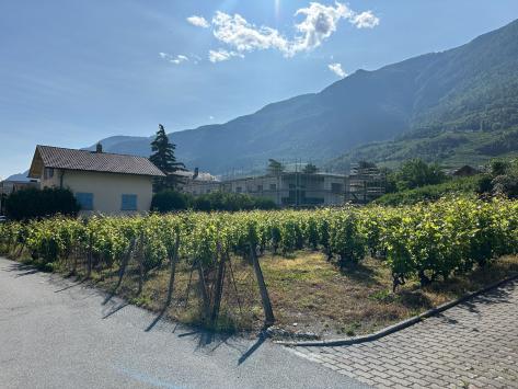 Saxon, Valais - Appartement  62.50 m2  dès CHF 330'000.-