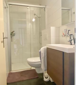 Sion, Valais - Dernier étage 2.5 pièces 59.00 m2 CHF 1'400.- / mois