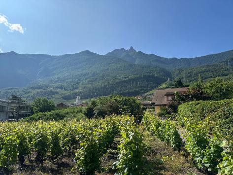 Saxon, Valais - Appartement 3.5 pièces 98.50 m2  dès CHF 490'000.-